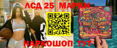 прущие грибы Кандалакша
