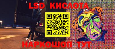 прущие грибы Кандалакша