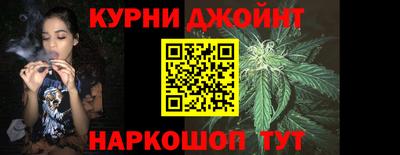 прущие грибы Кандалакша