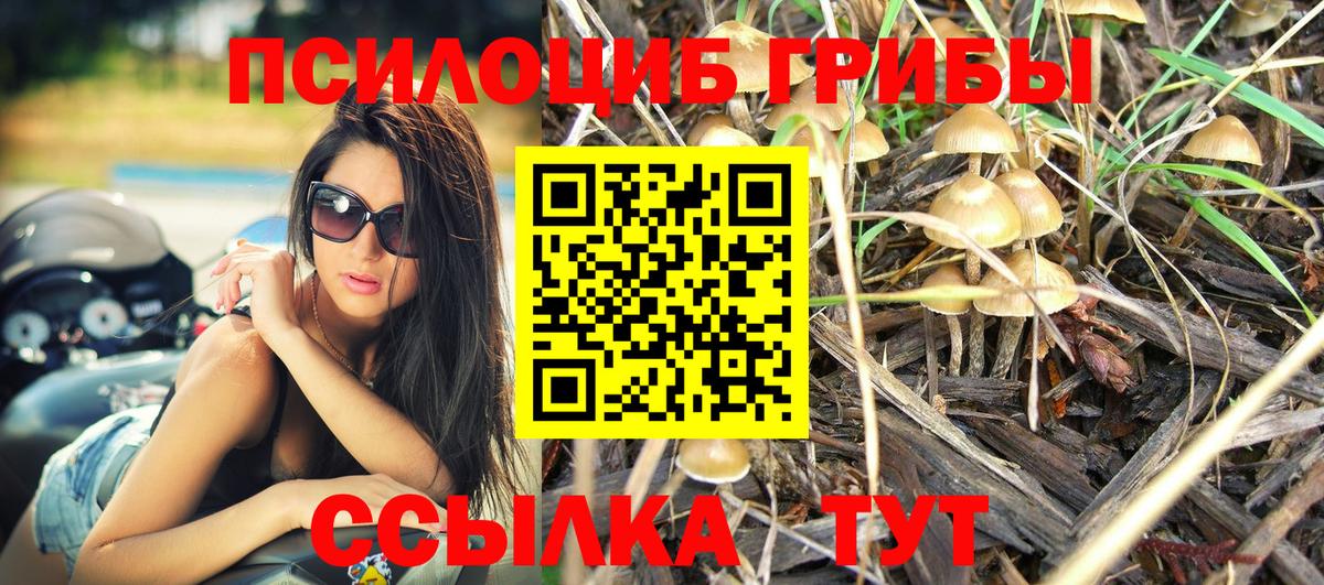 Псилоцибиновые грибы MAGIC MUSHROOMS Москва