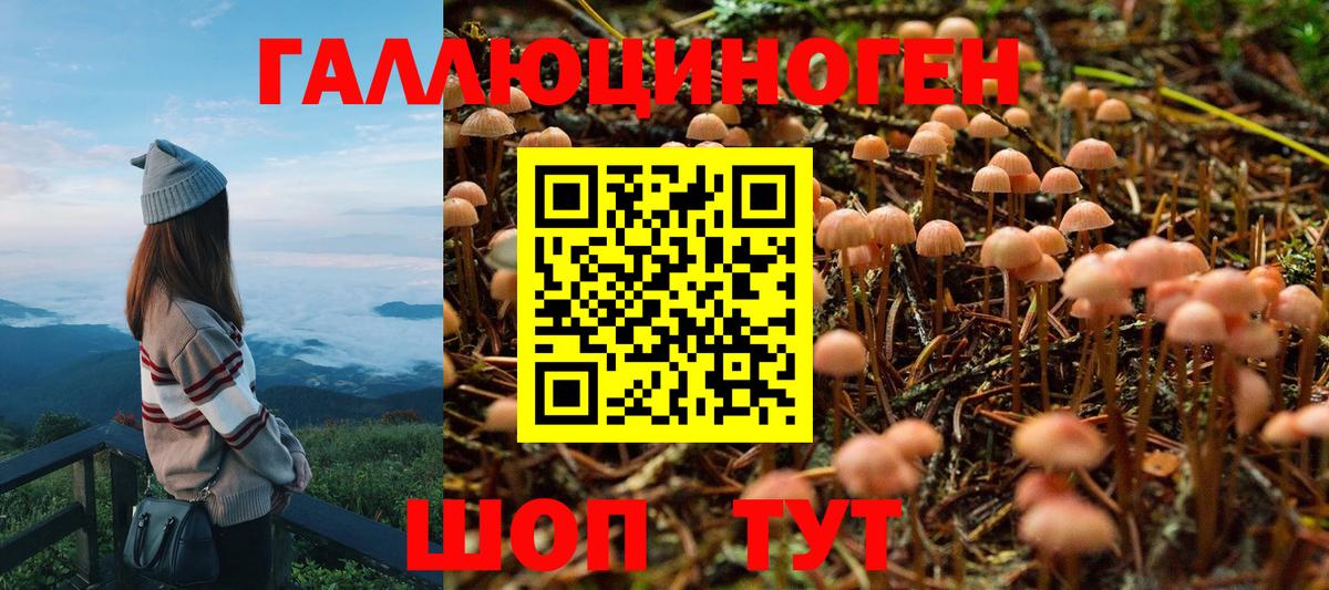 Москва  Псилоцибиновые грибы мухоморы  Вход с VPN 